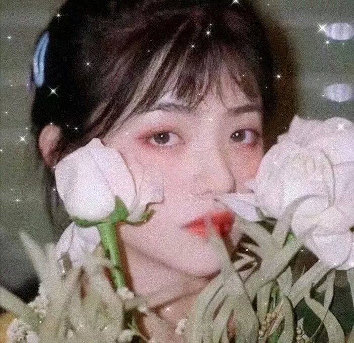 人生几度秋凉