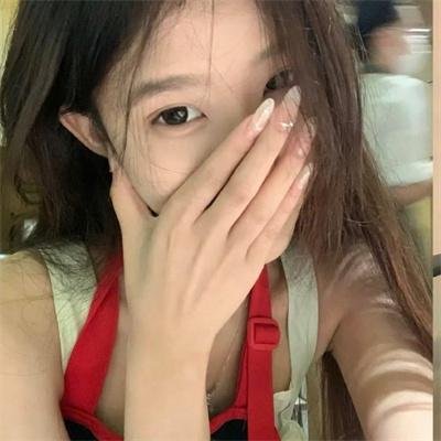 总统的危机