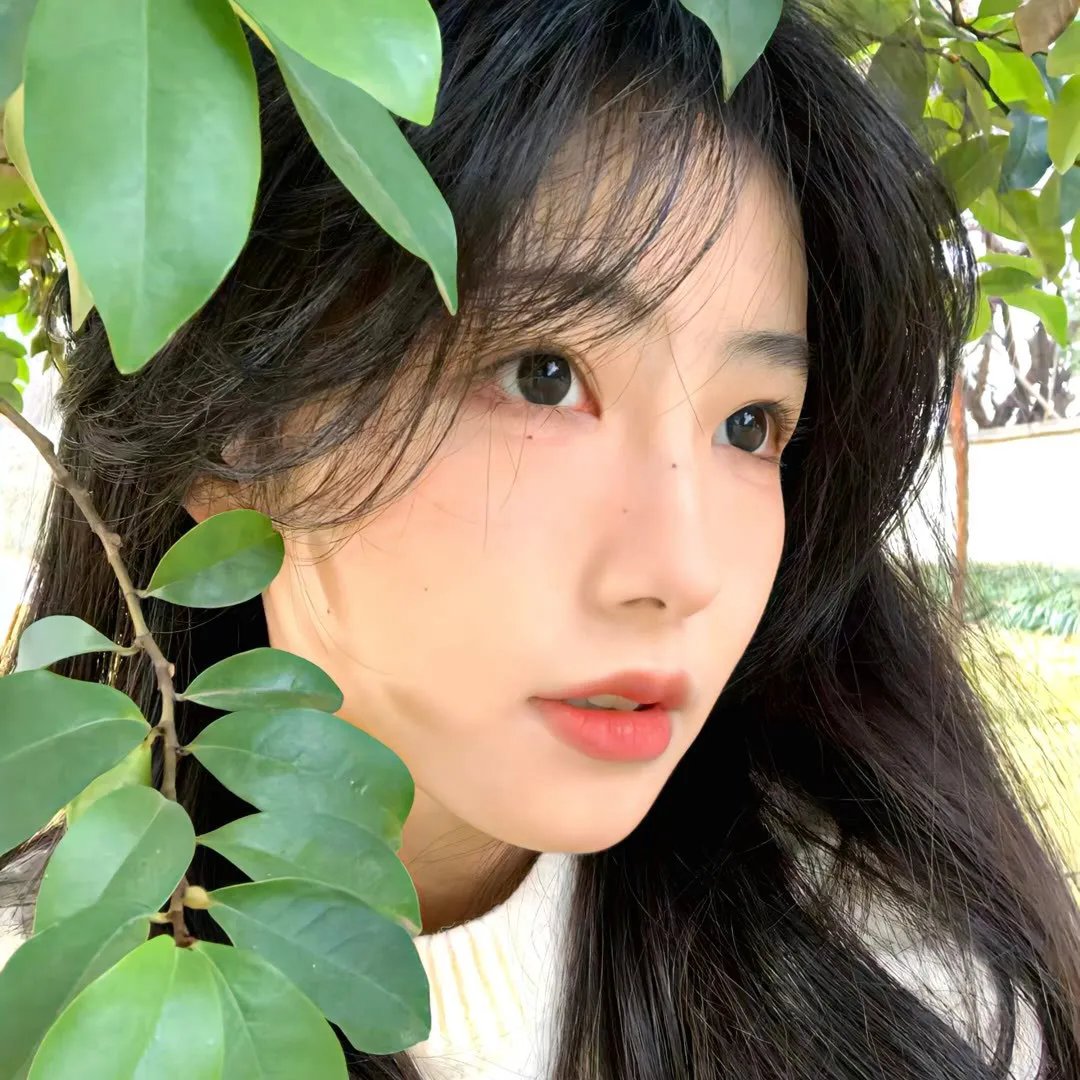 天上的风